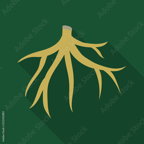 Root of sugarcane vector icon.Flat vector icon isolated on white background root of sugarcane .