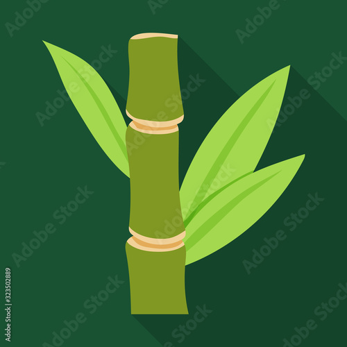 Stem of sugar cane vector icon.Flat vector icon isolated on white background stem of sugar cane .