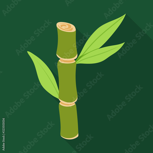 Stem of sugar cane vector icon.Flat vector icon isolated on white background stem of sugar cane .