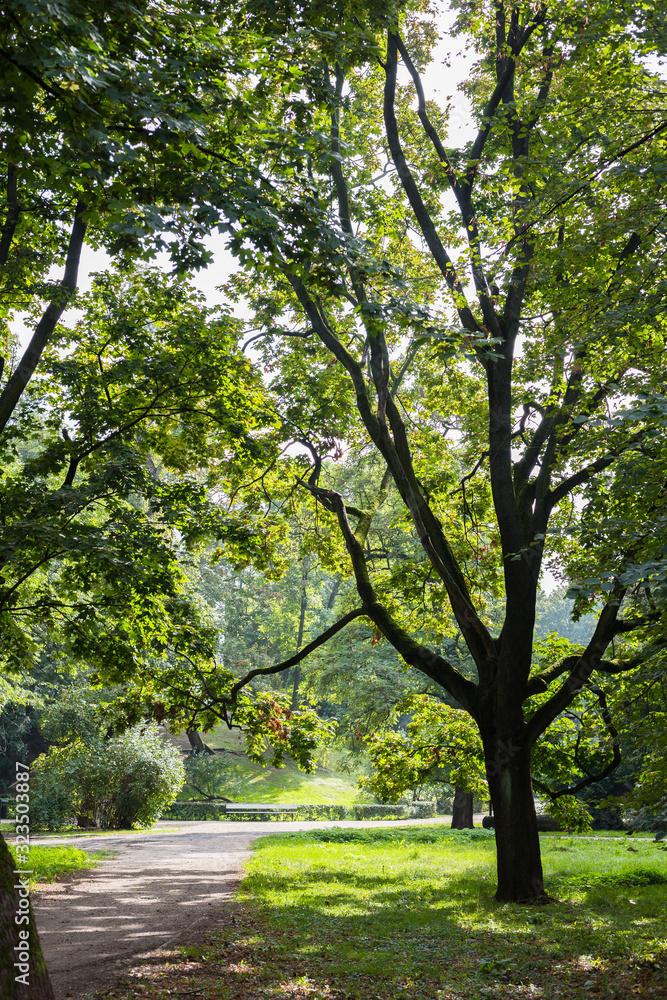 Naklejka premium Ogród Saski - Park, Warsaw, Poland