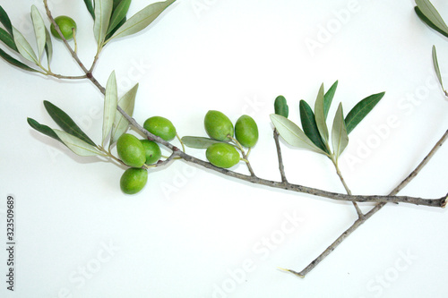 Olive branch with green olives isolated on white background.