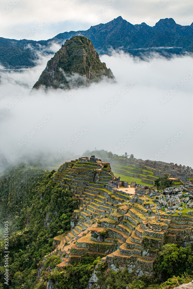 Fototapeta premium forchia a machu picchu