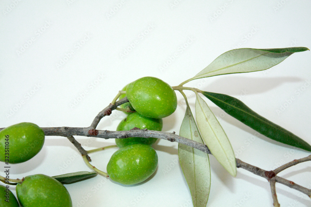 Olive branch with green olives isolated on white background.