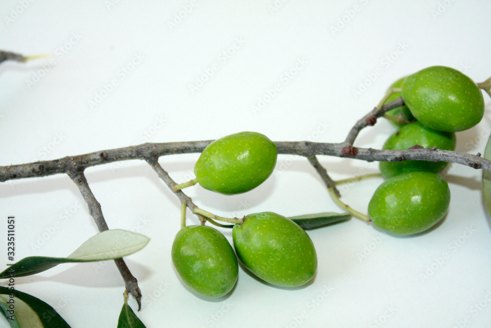 Olive branch with green olives isolated on white background.