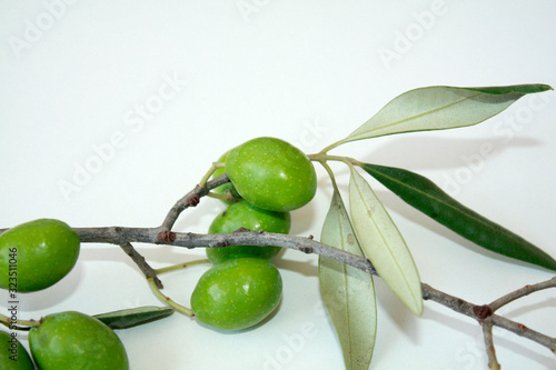 Obraz na płótnie Olive branch with green olives isolated on white background. w salonie