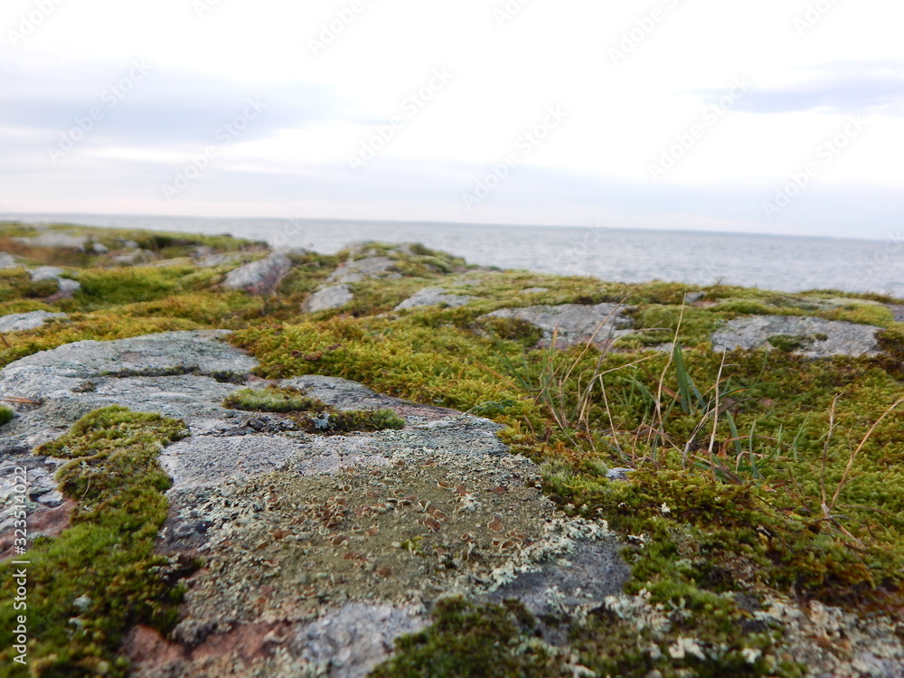 Sweden's largest lake Värner Sweden's largest lake Värner