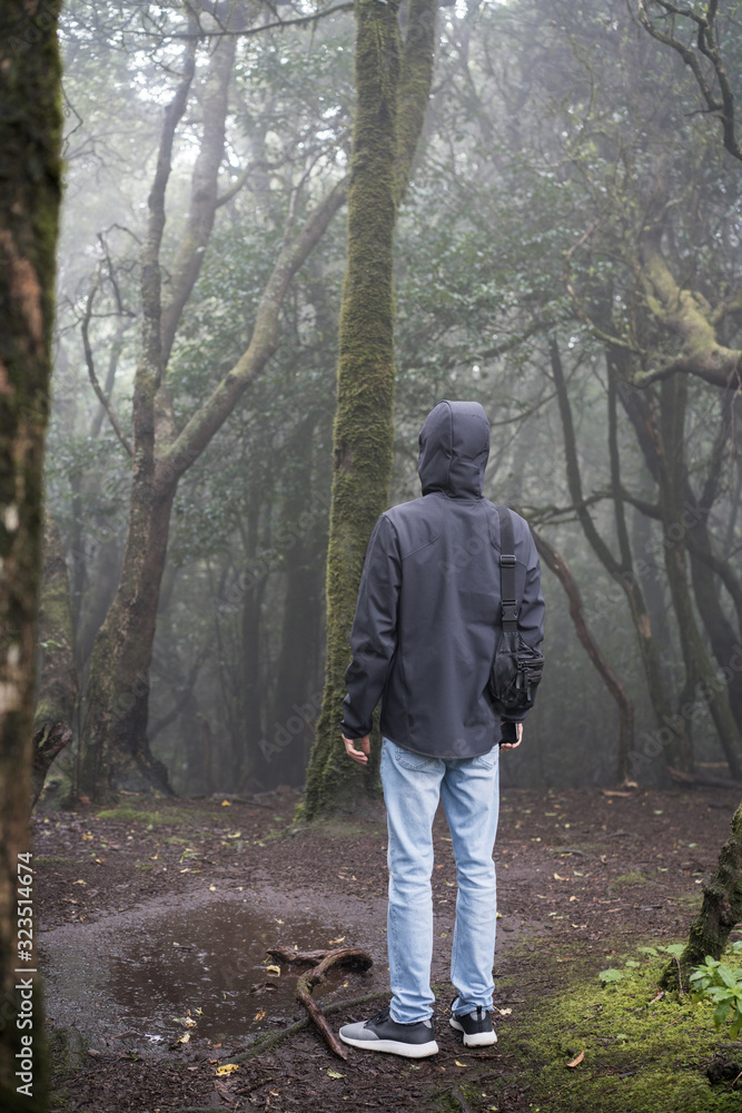 Man traveler in blue raincoat enjoying hiking in the beautiful scary mystic rainforest trees in Anaga national park on Tenerife island, Spain. Rain, fog, silence in old forest Man traveler in blue raincoat enjoying hiking in the beautiful scary mystic rainforest trees in Anaga national park on Tenerife island, Spain. Rain, fog, silence in old forest