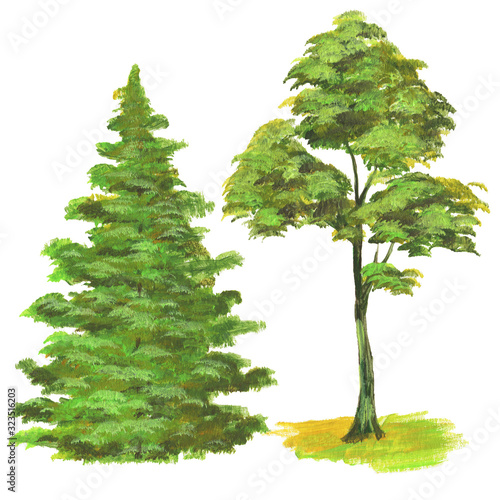 trees painted with paints and brush, isolate on a white background