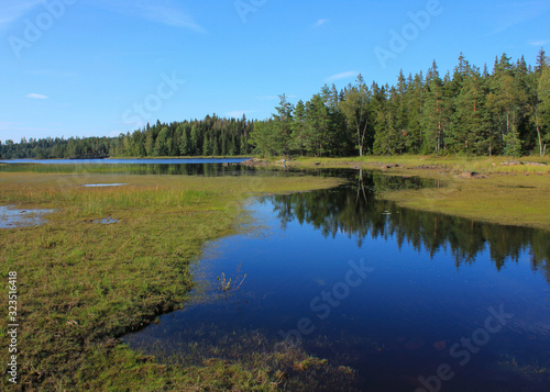Landscape near Backefors, Dalsland, Sweden. Lake Marsjon and forest. © u.perreten