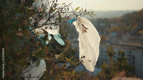 Valokuva Green tree with plastic bag hanging in forest pollution ecosystem problem sweepi