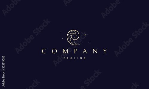 A vector golden logo on which an abstract image of a beautiful seashell in a section.