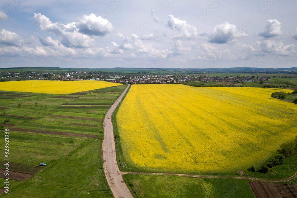Fototapeta premium Aerial view of ground road with moving cars in green fields with blooming rapeseed plants, suburb houses on horizon and blue sky copy space background. Drone photography.