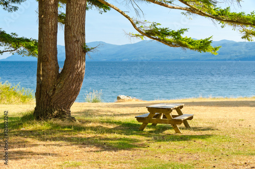 Picnic table in shade of double tree at the Palm Beach, Vancouver, Canada © karamysh