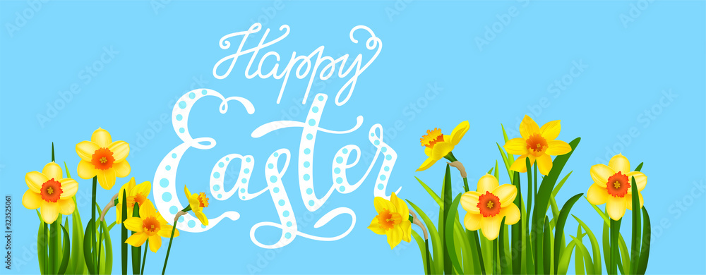Obraz Easter blossom banner with daffodils