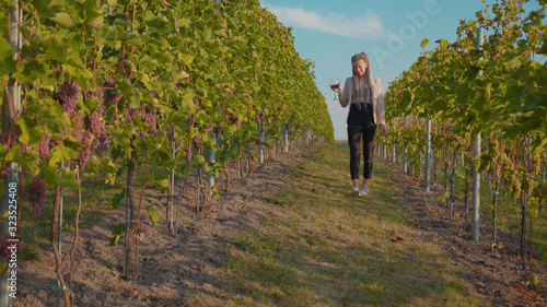 Stylish woman walk vineyards with glass of red wine smile feel happy organic connecting with nature agriculture sunny travel countryside field grape green rural view tasting slow motion