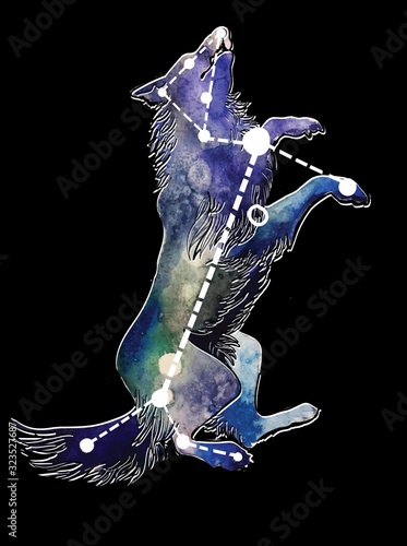  Constellation dog. This constellation inscribed in the contour. Starry sky map, T-shirt print, postcard. Drawing with watercolors.
