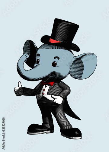 Elephant character illustration isolated on blue BG