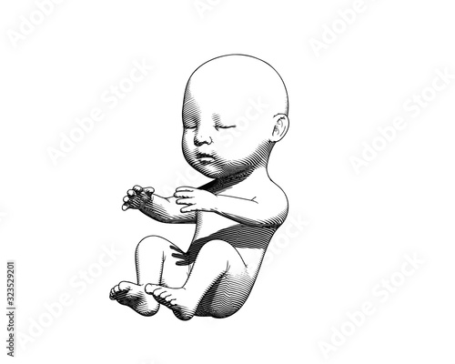 Human infant baby drawing illustration on white BG
