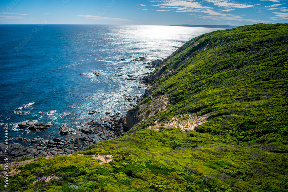 A photo of the coast line taken from the Cape Otway lighthouse