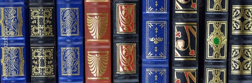 detalle de varios libros en una estantería de una biblioteca