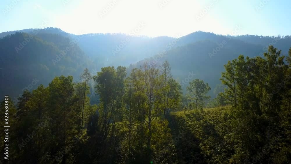 aerial view of the mountains and the forest in the morning mist aerial view of the mountains and the forest in the morning mist