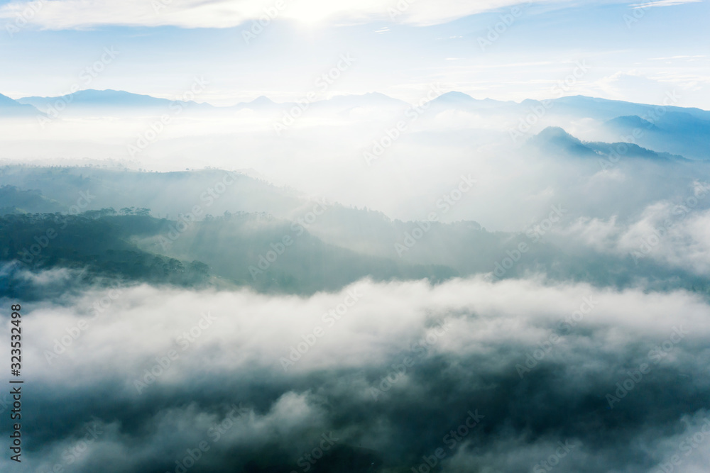 Aerial view of white fog above tea plantation Aerial view of white fog above tea plantation