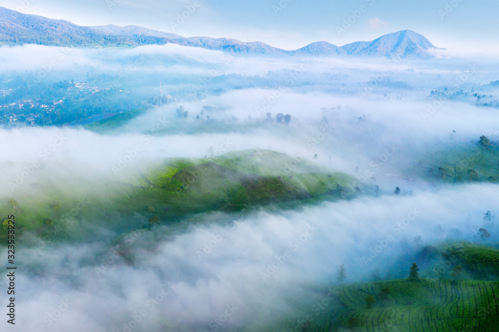 Fog covering highland with tea plantation