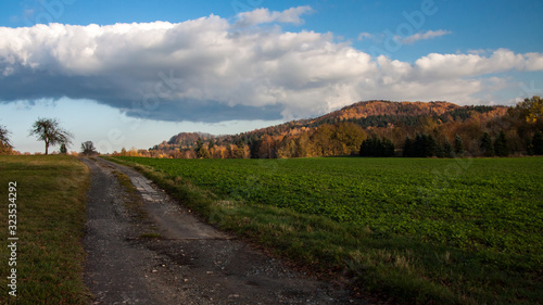 beautiful landscape in autumn