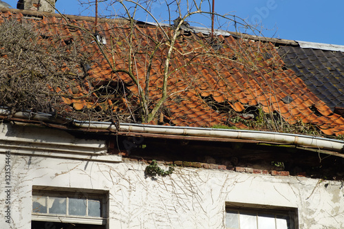 Dachschaden an einem Abrisshaus photo