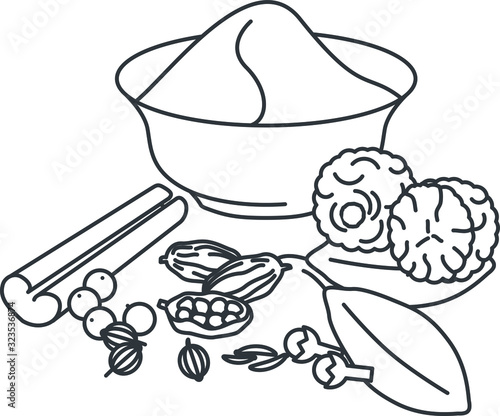 Garam masala icon, vector illustration