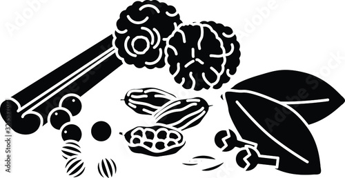 Garam masala icon, vector illustration