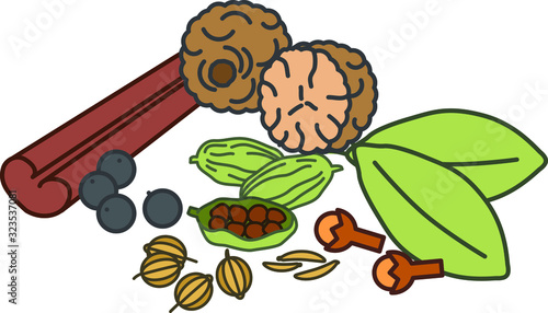 Garam masala icon, vector illustration