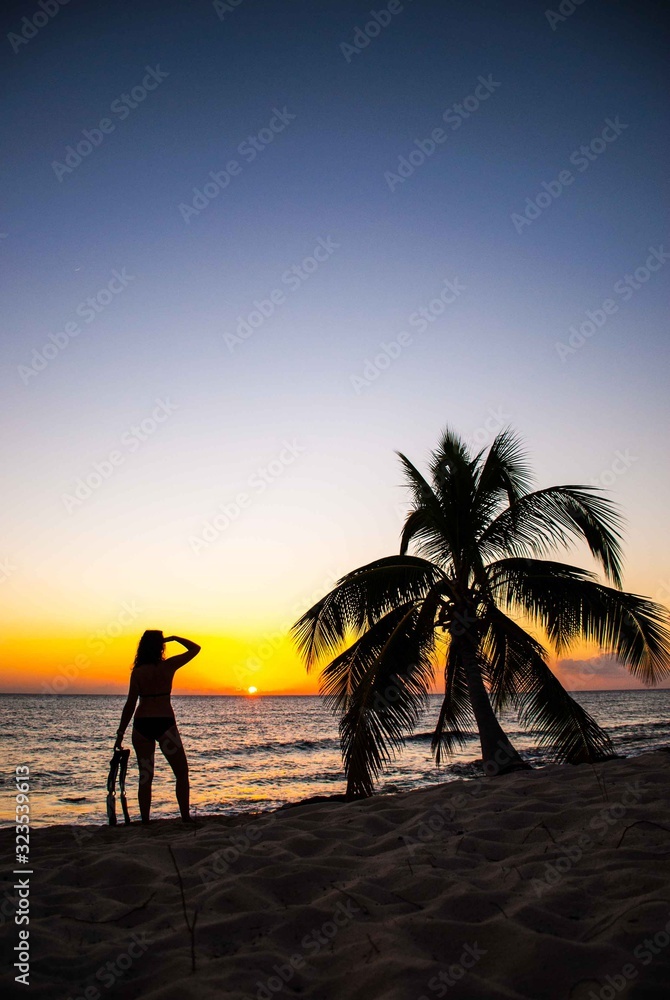 A silhouette shot of a lady on a tropical beach next to a palm tree with fins in her hand. The setting sun creates a beautiful effect on the ocean