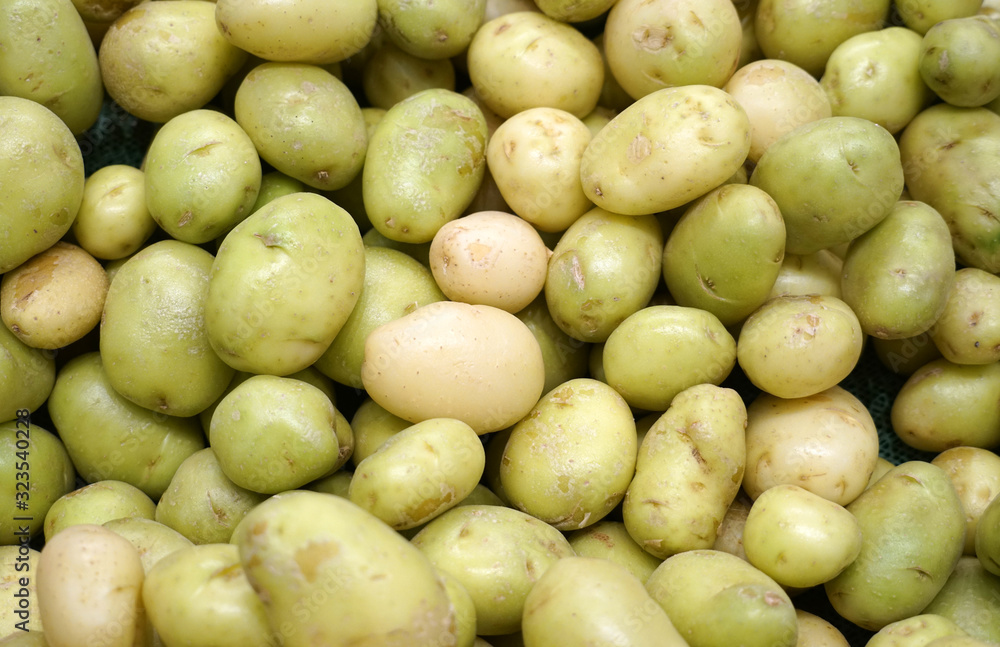 close up on green potato as food background close up on green potato as food background
