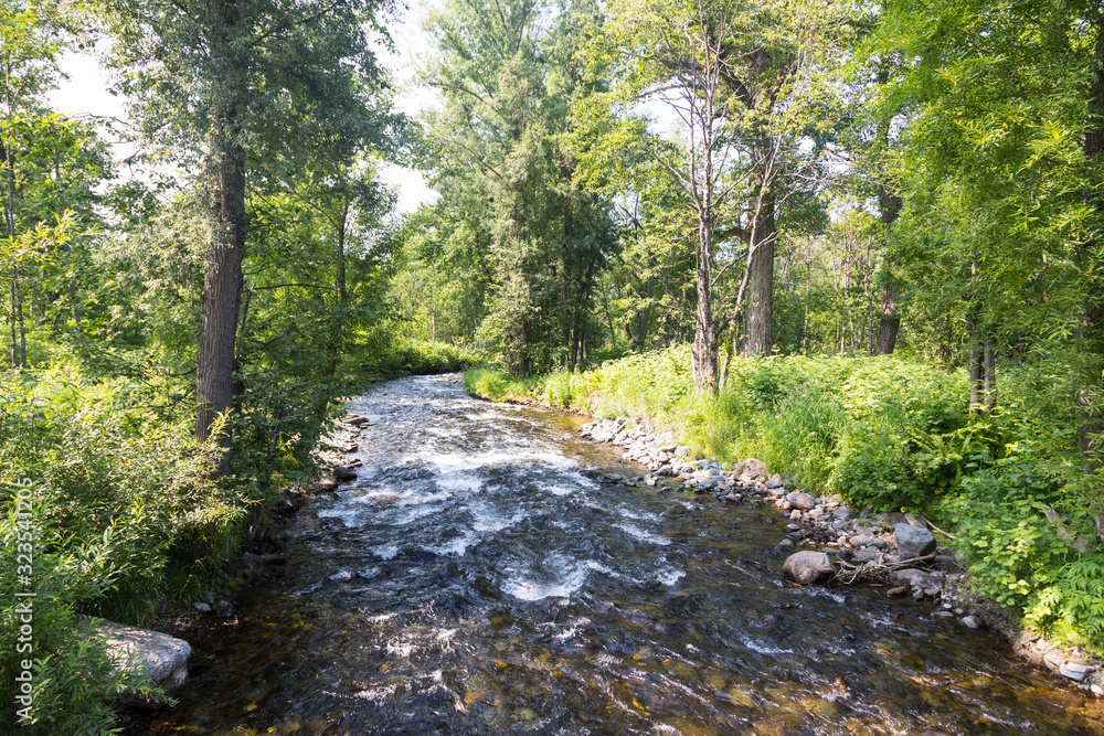 Fototapeta premium Mountain Stream, Kamchatka Peninsula, Russia.