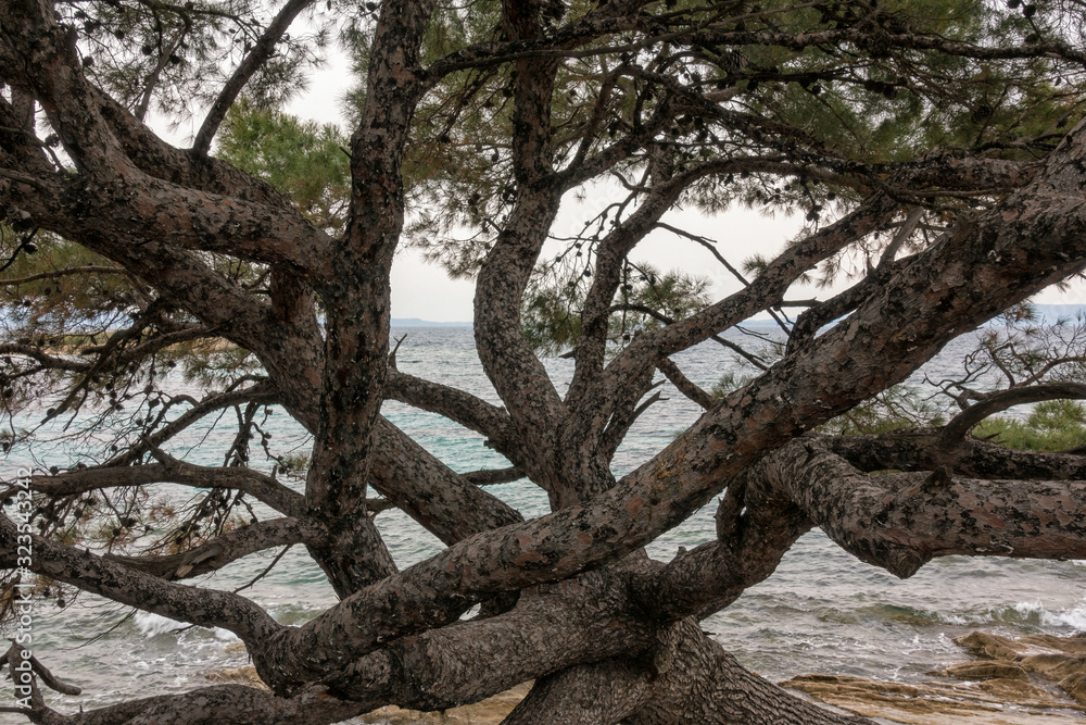 Beautiful scenery by the sea in Vourvourou, Sithonia, Chalkidiki, Greece