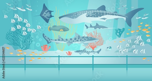 Shark, Stingray, Fish Swim in Saltwater Aquarium