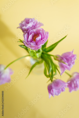 Fototapeta Naklejka Na Ścianę i Meble -  Spring flowers. Bouquet of purple tulips on yellow background.