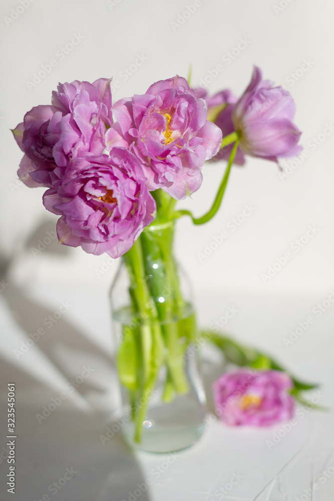 Spring flowers. Bouquet of purple tulips on white background. Spring flowers. Bouquet of purple tulips on white background.