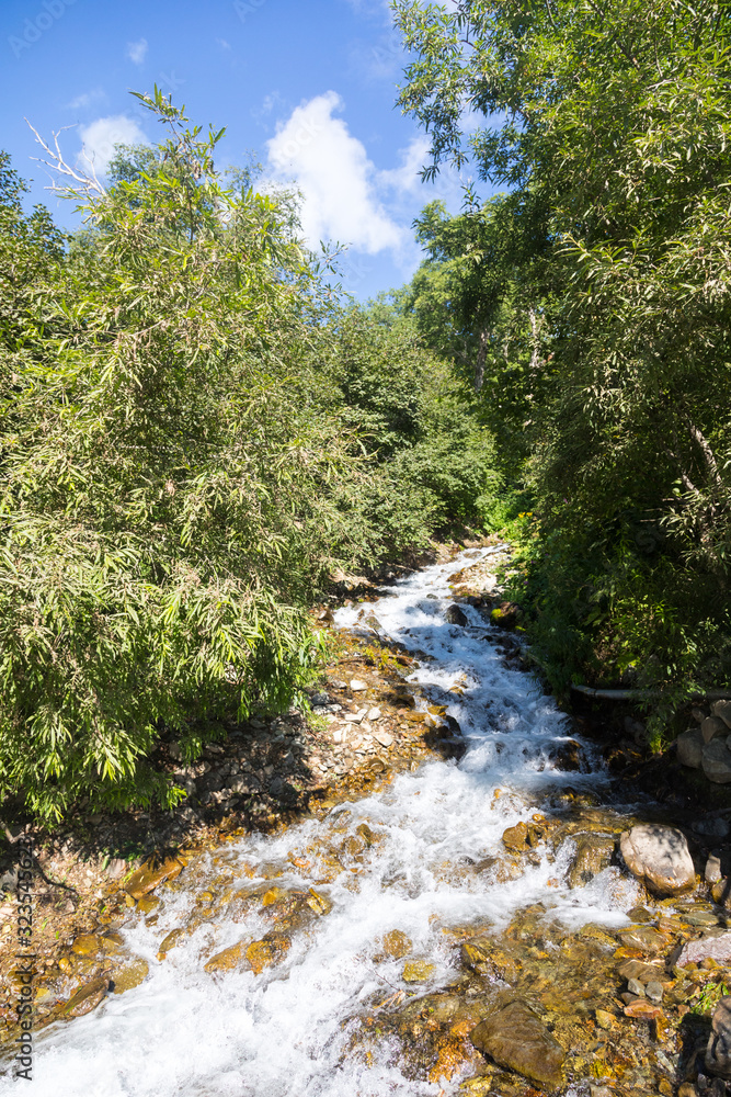 Mountain Stream, Kamchatka Peninsula, Russia.