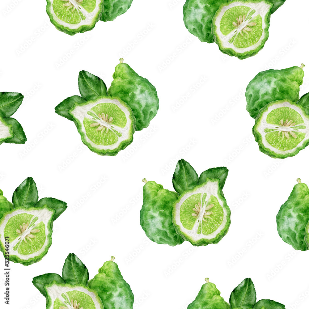 Bergamot fruit hand drawn watercolor illustration. Seamless pattern. Bergamot fruit hand drawn watercolor illustration. Seamless pattern.