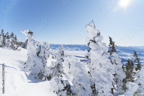 Skiing in Jackson Hole