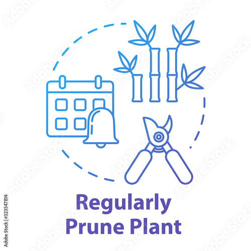 Regular prune plant concept icon. Home potted flower caring. Cutting off dead branches or stems idea thin line illustration. Vector isolated outline RGB color drawing