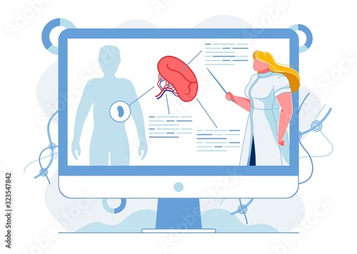 Human Spleen Structure Study Vector Illustration