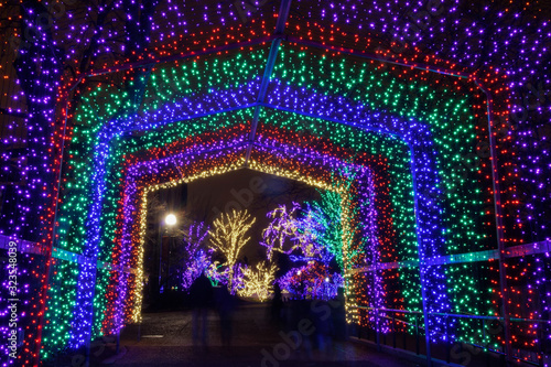 Chicago Zoolights