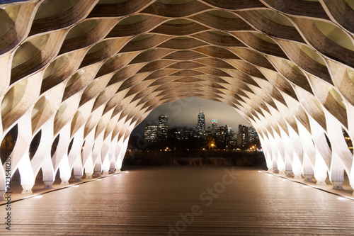 Chicago Skyline at Night