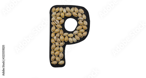 Isolated Font English or Latin Letter P or Russian letter Р made of seashell on black granite on white background photo