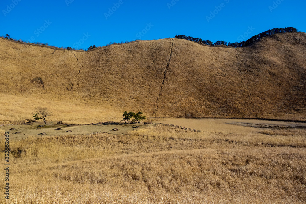 Obraz premium 曽爾高原