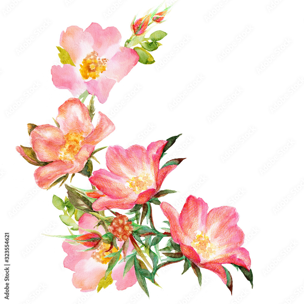 Vignette from a branch with flowers, buds and rosehip leaves. Watercolor illustration, writing paper design element, envelopes, invitations.