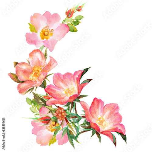 Vignette from a branch with flowers, buds and rosehip leaves. Watercolor illustration, writing paper design element, envelopes, invitations. © Elena Pavlycheva